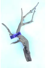Sublime Vines Sublime Vines Ghost Wood XL 32"