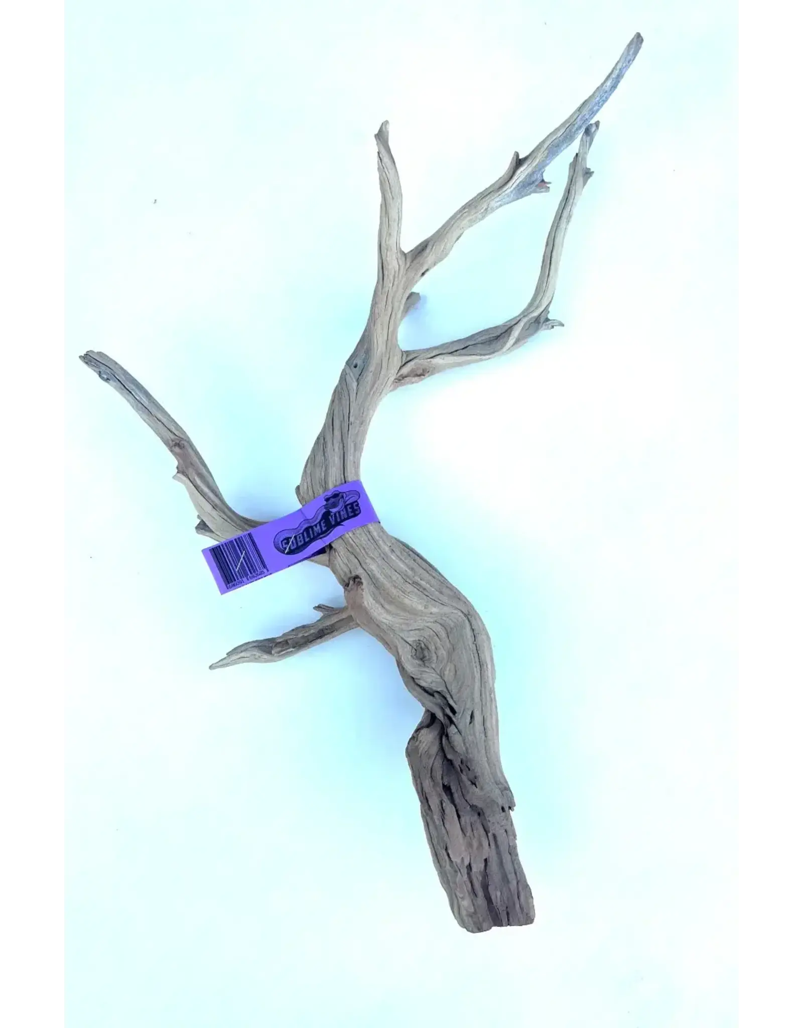 Sublime Vines Sublime Vines Ghost Wood XL 32"