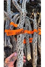 Sublime Vines Sublime Vines Cholla Wood Small 12"