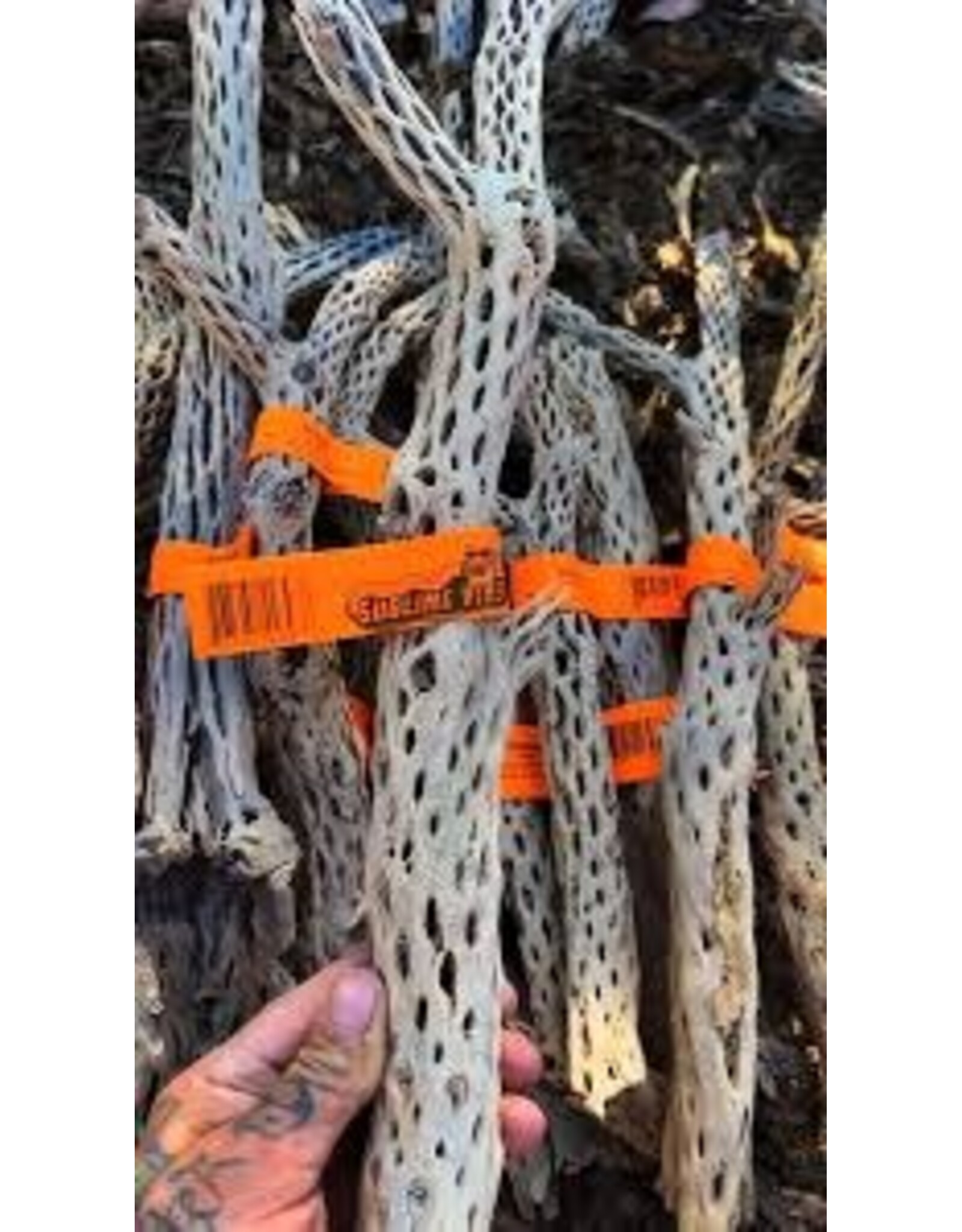 Sublime Vines Sublime Vines Cholla Wood Medium 18"