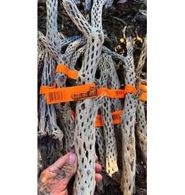 Sublime Vines Sublime Vines Cholla Wood Medium 18"
