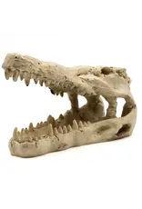 Pangea Pangea Crocodile Skull Small