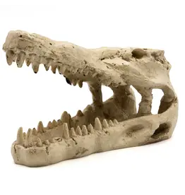 Pangea Pangea Crocodile Skull Small