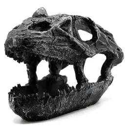 Pangea Pangea Dinosaur Skull Reptile Hide