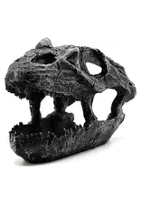 Pangea Pangea Dinosaur Skull Reptile Hide