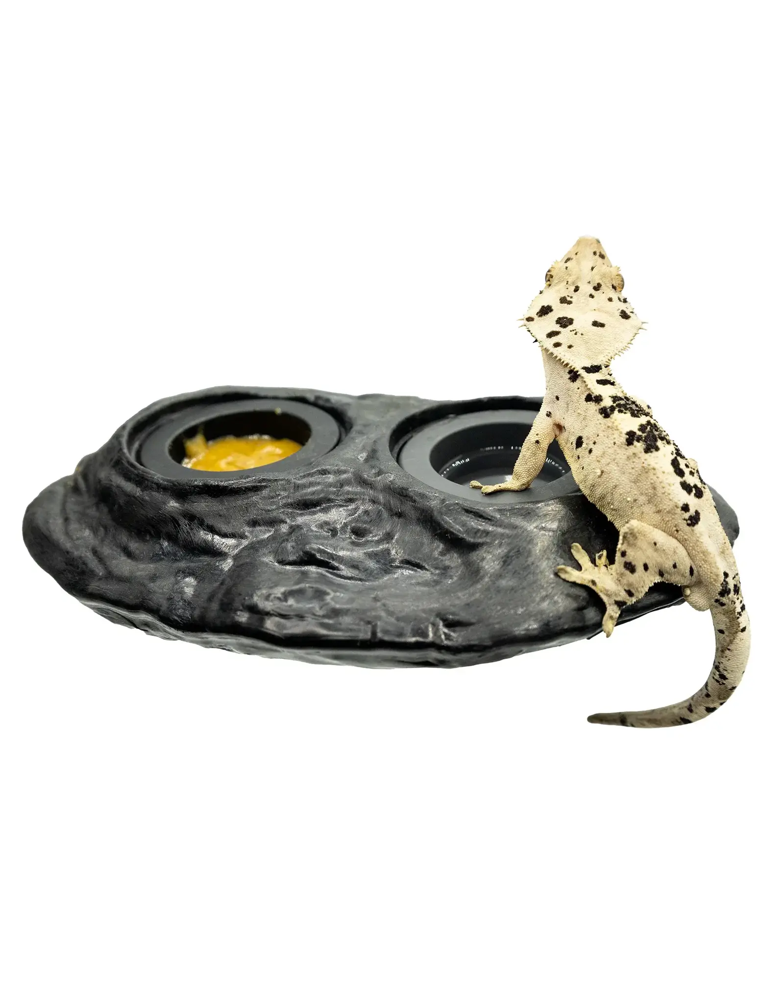 Pangea Pangea Ultimate Magnetic Ledge