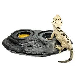 Pangea Pangea Ultimate Magnetic Ledge