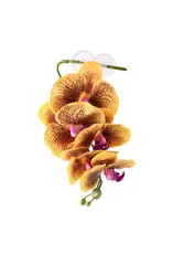 Pangea Pangea Hanging Orchid Yellow