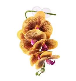 Pangea Pangea Hanging Orchid Yellow