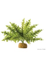 Exo Terra Exo Terra Boston Fern Small