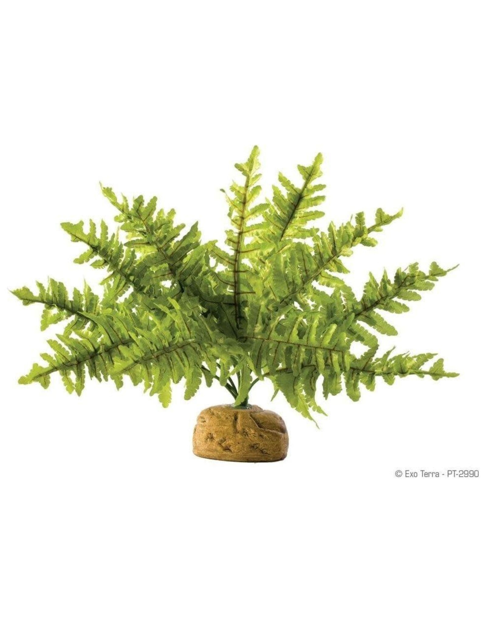 Exo Terra Exo Terra Boston Fern Small