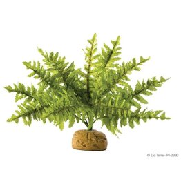 Exo Terra Exo Terra Boston Fern Small