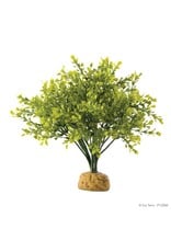 Exo Terra Exo Terra Boxwood Bush