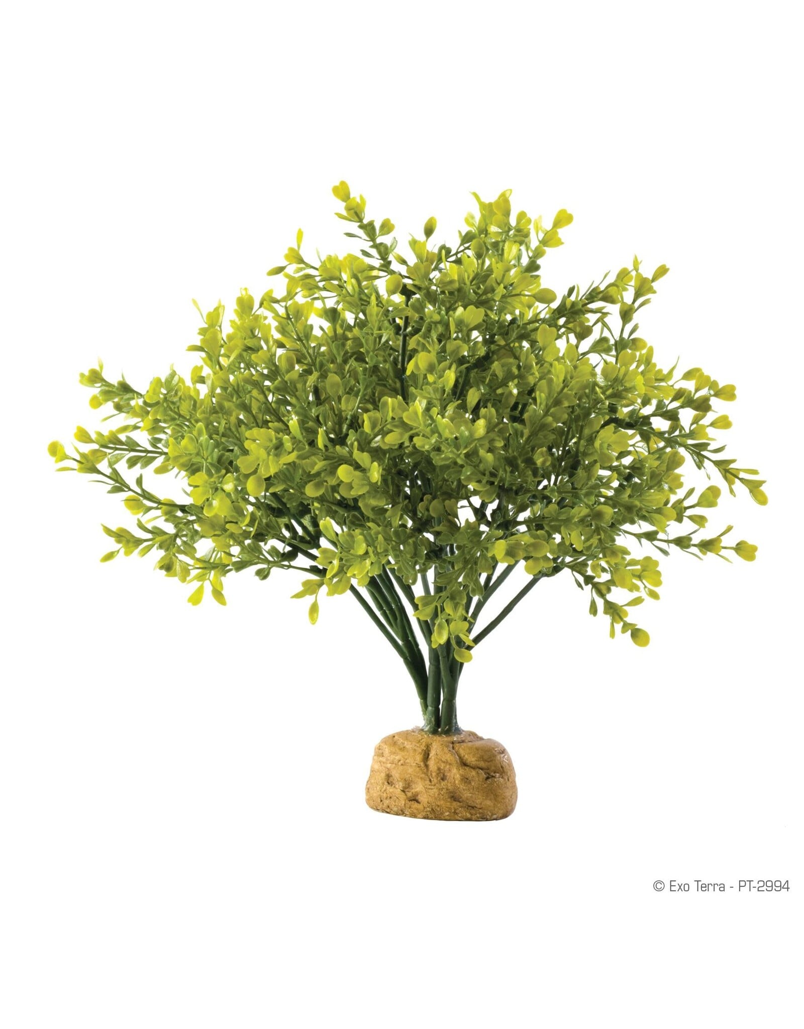 Exo Terra Exo Terra Boxwood Bush