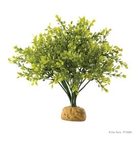 Exo Terra Exo Terra Boxwood Bush