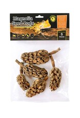 Galapagos Pet Galapagos Magnolia Seed Pods 5pk