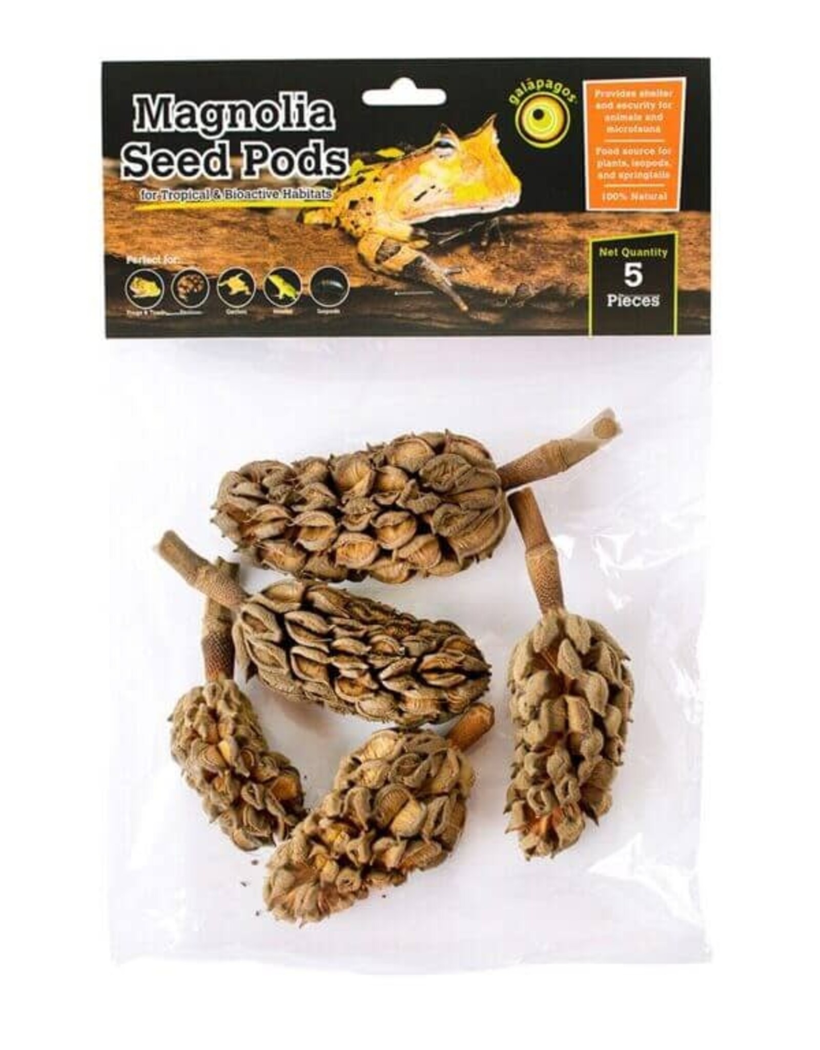 Galapagos Pet Galapagos Magnolia Seed Pods 5pk