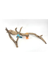 Sublime Vines Sublime Vines Cholla Wood XL 32"