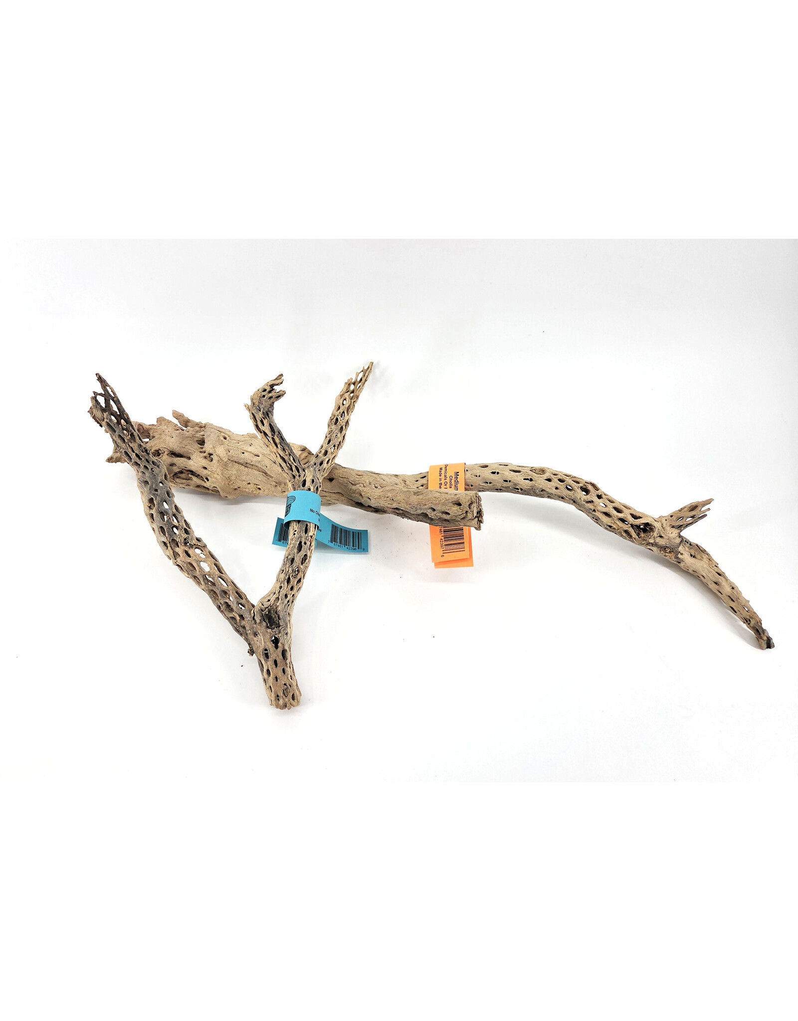Sublime Vines Sublime Vines Cholla Wood XL 32"