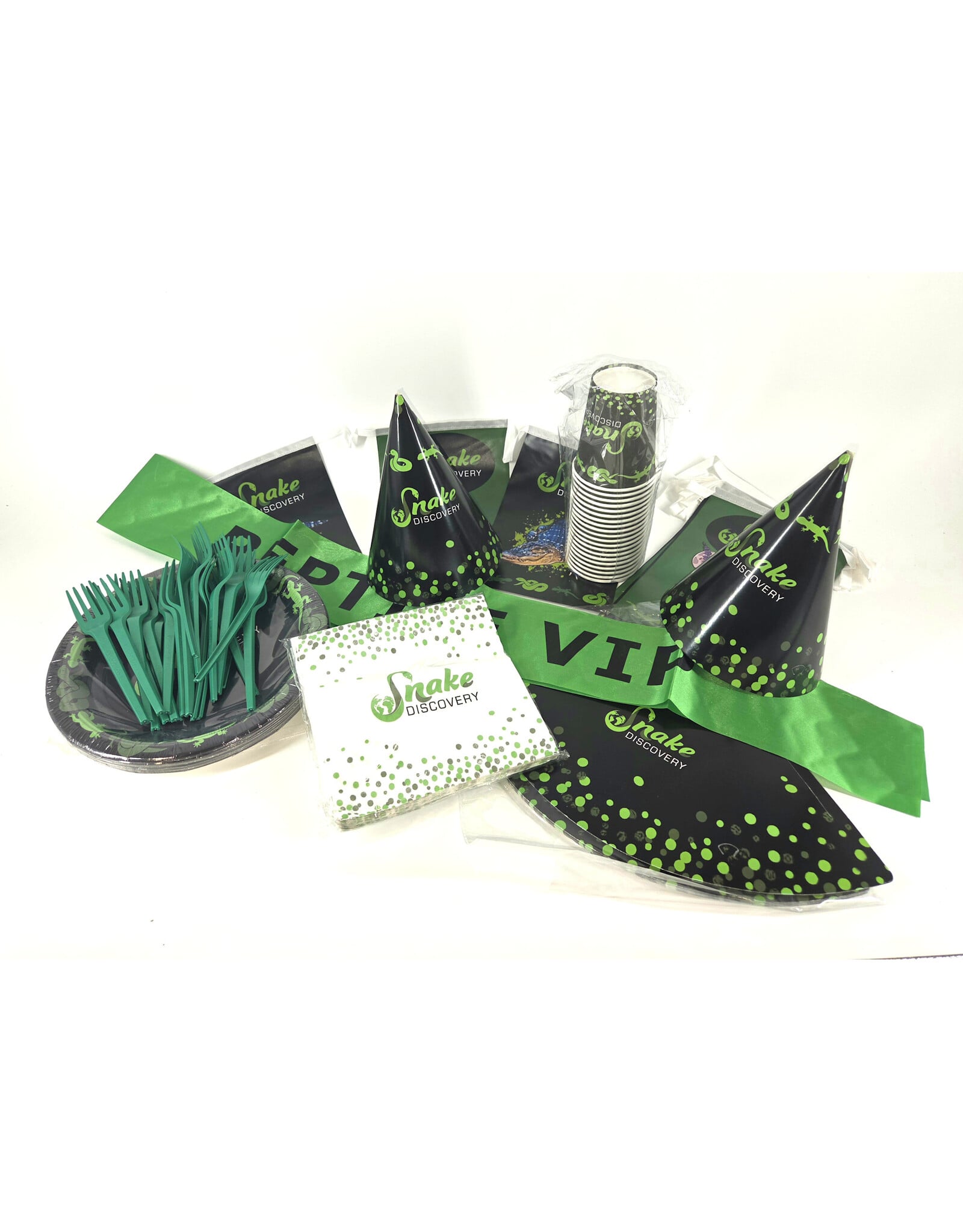 Snake Discovery SD Party Kit