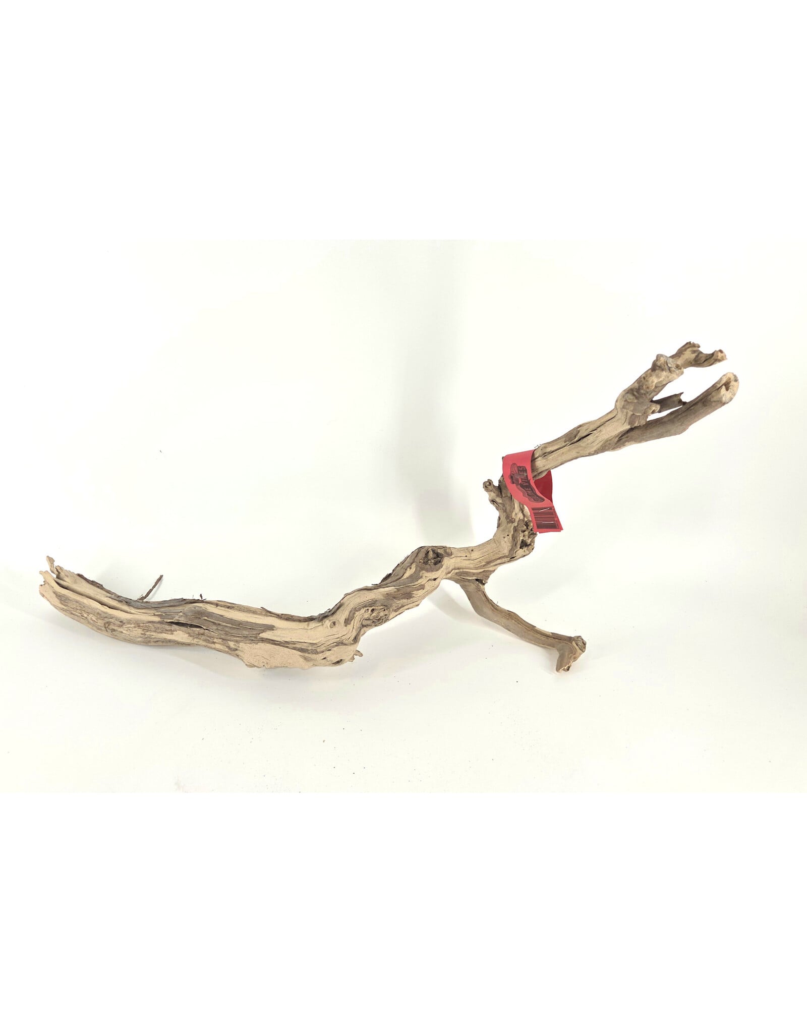 Sublime Vines Sublime Vines Grapevine Wood Large 24"