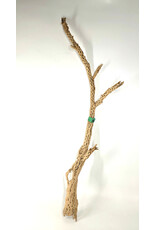 Sublime Vines Sublime Vines Cholla Wood XL 32"
