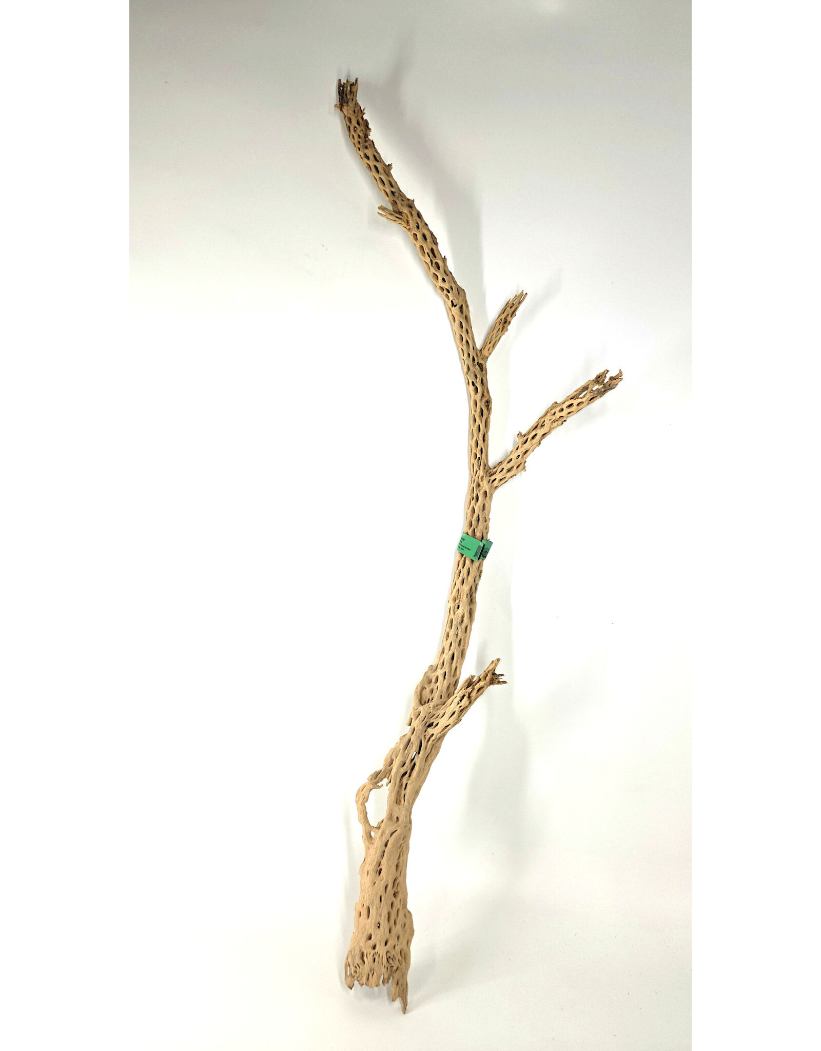 Sublime Vines Sublime Vines Cholla Wood XL 32"
