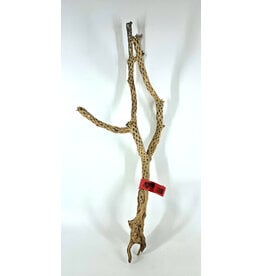 Sublime Vines Sublime Vines Cholla Wood Large 24"