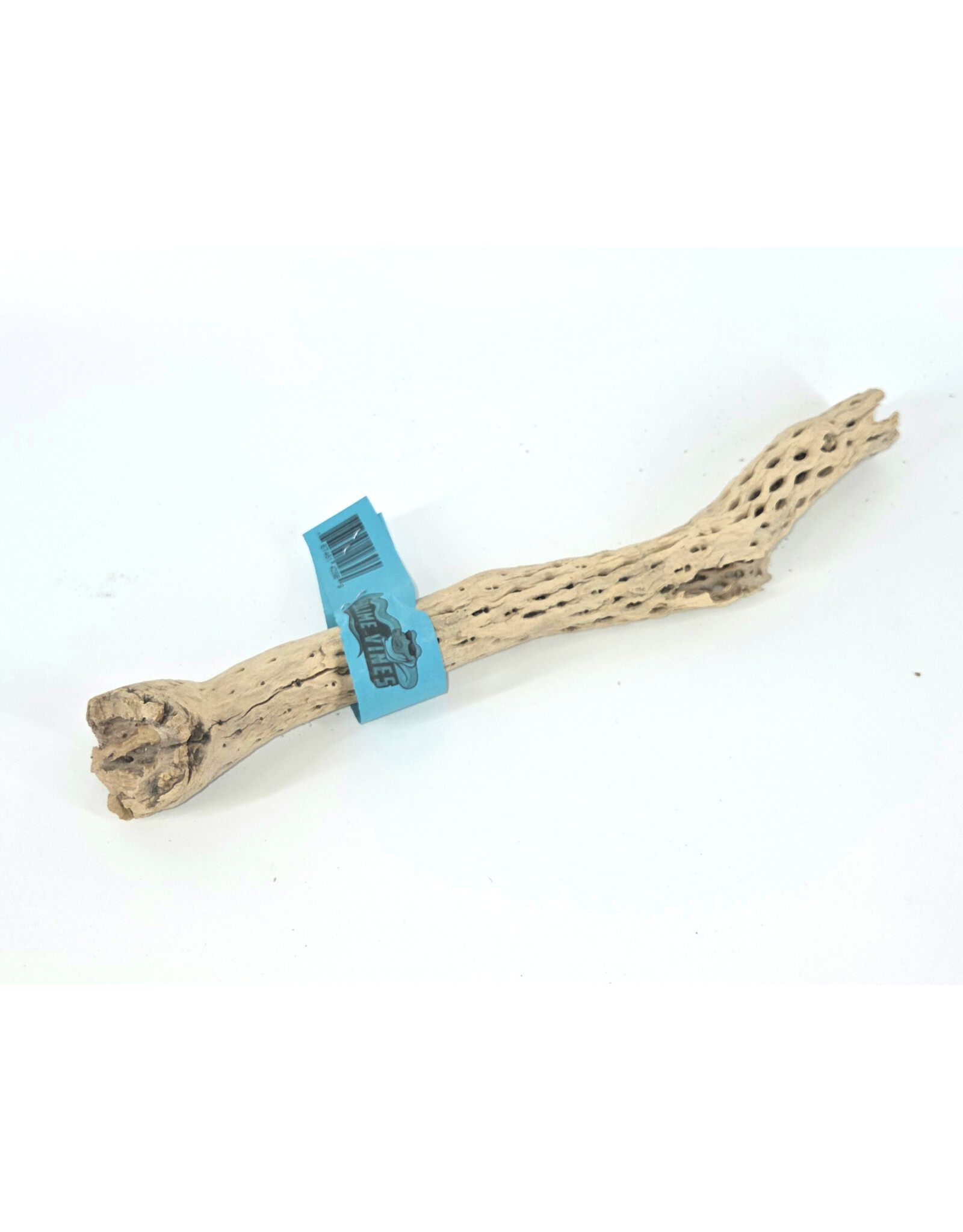 Sublime Vines Sublime Vines Cholla Wood Small 12"