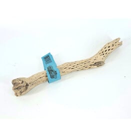 Sublime Vines Sublime Vines Cholla Wood Small 12"