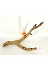 Sublime Vines Sublime Vines Cholla Wood Medium 18"