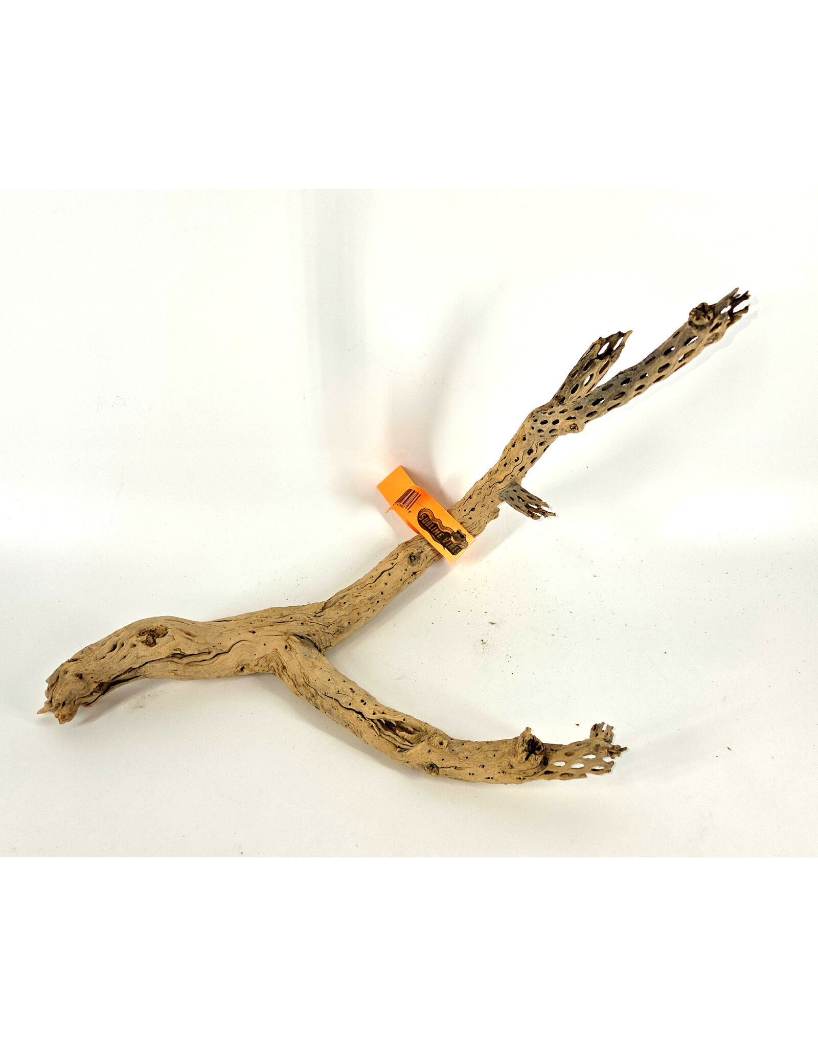 Sublime Vines Sublime Vines Cholla Wood Medium 18"
