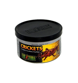 Exo Terra Exo Terra Crickets 1.2oz
