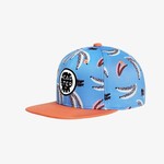 Headster Headster - Groovy Banana Snapback