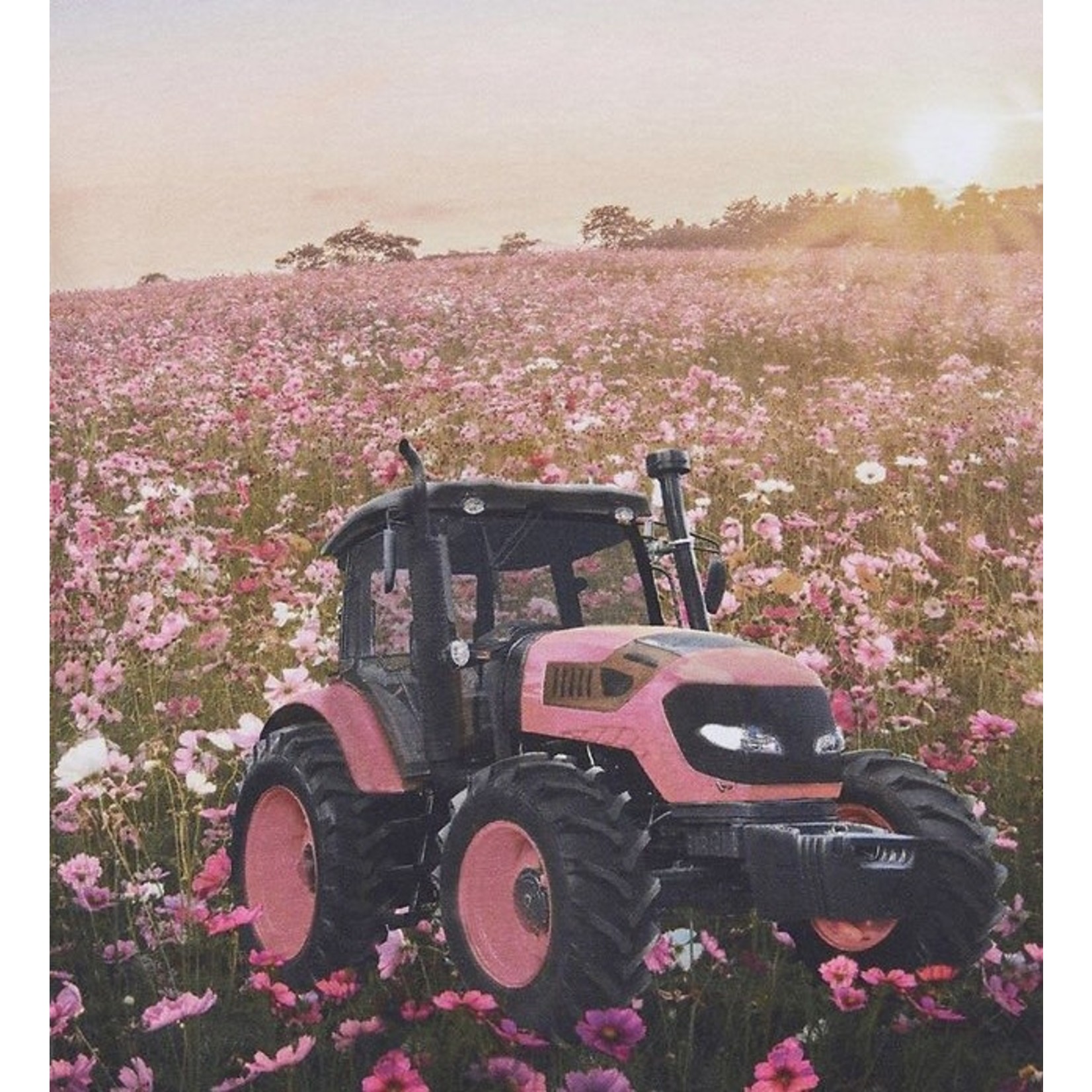 MinyMo MinyMo - Pink Tractor Tee
