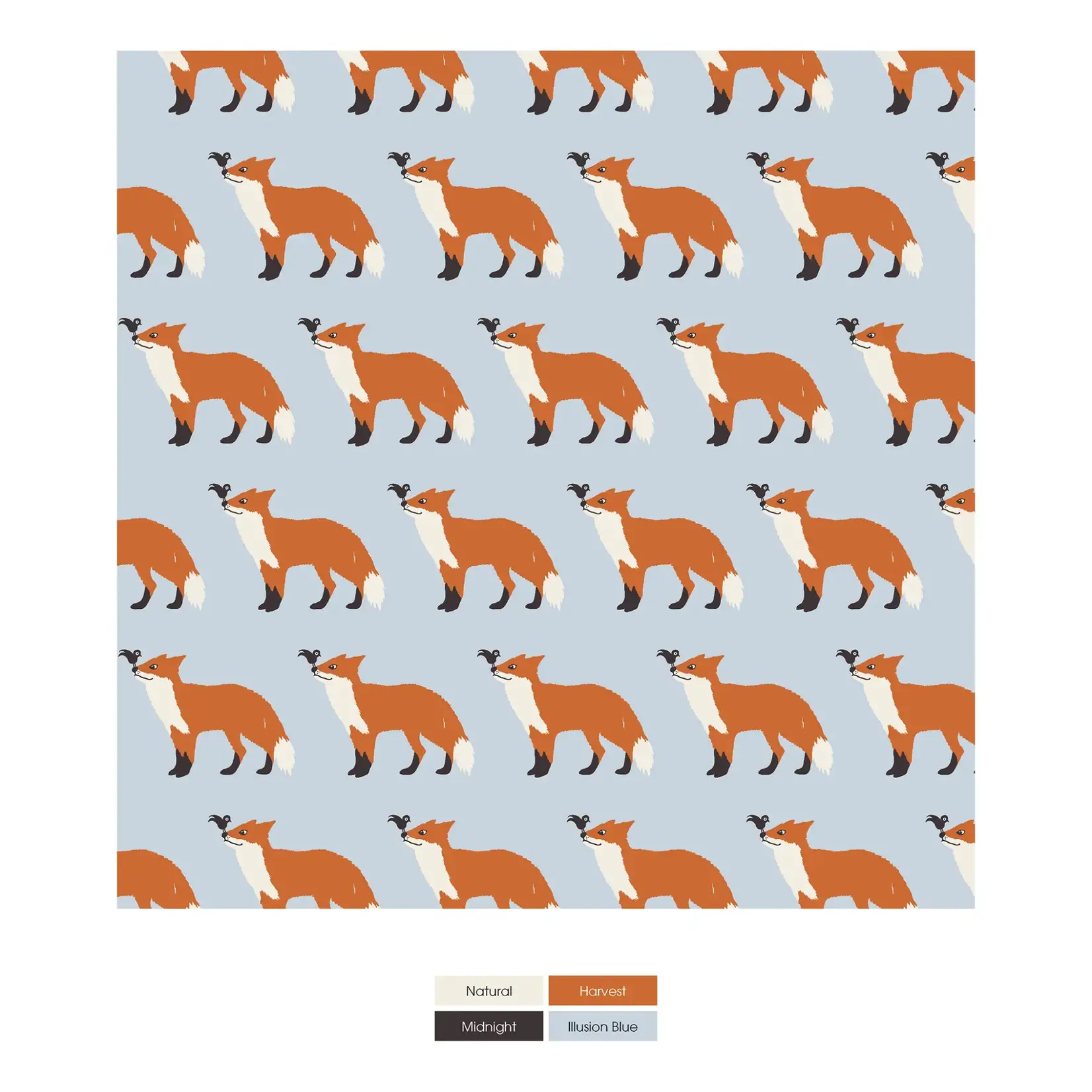 KicKee Pants KicKee Pants - Training Pant | Fox & The Crow