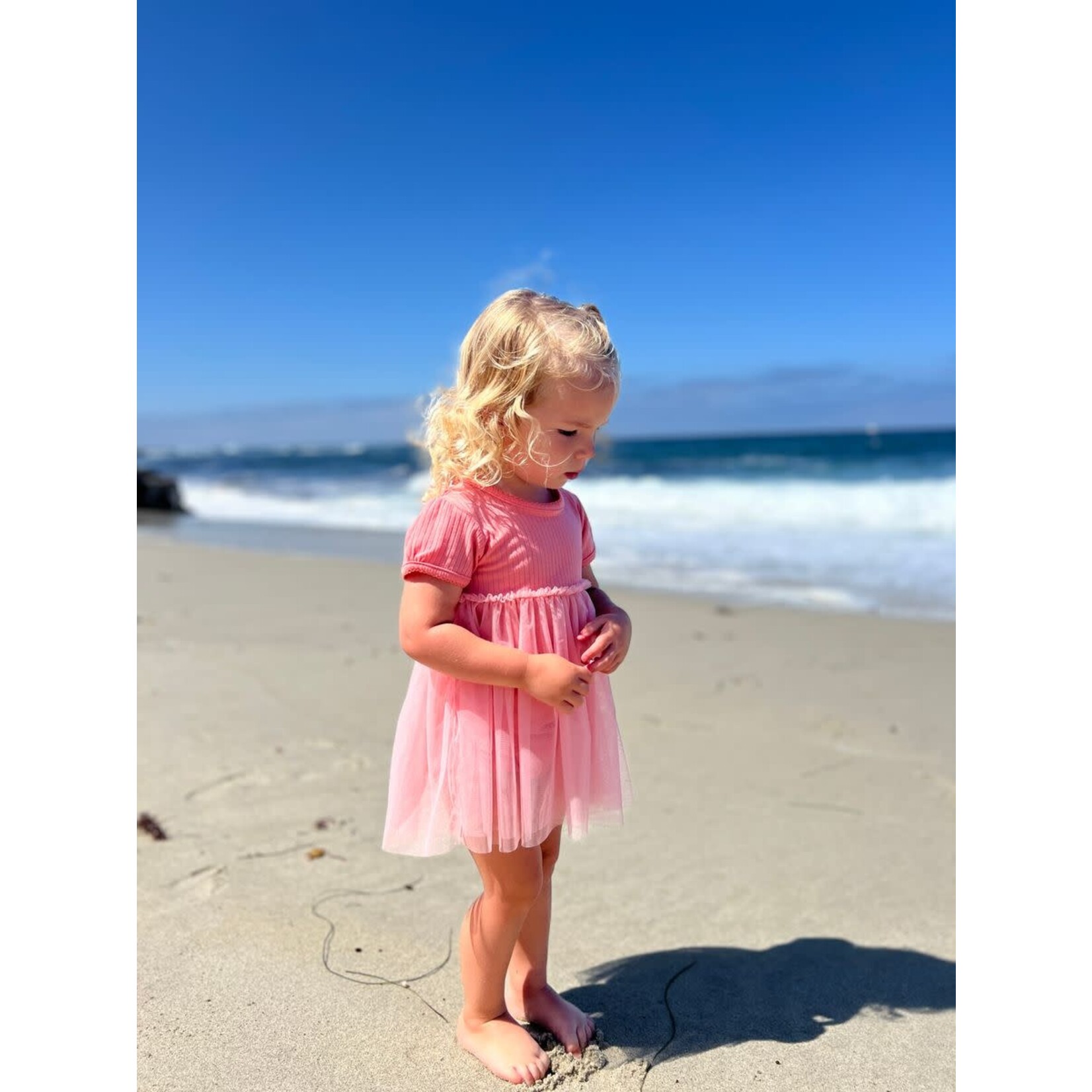 Vignette Vignette - Penelope Dress