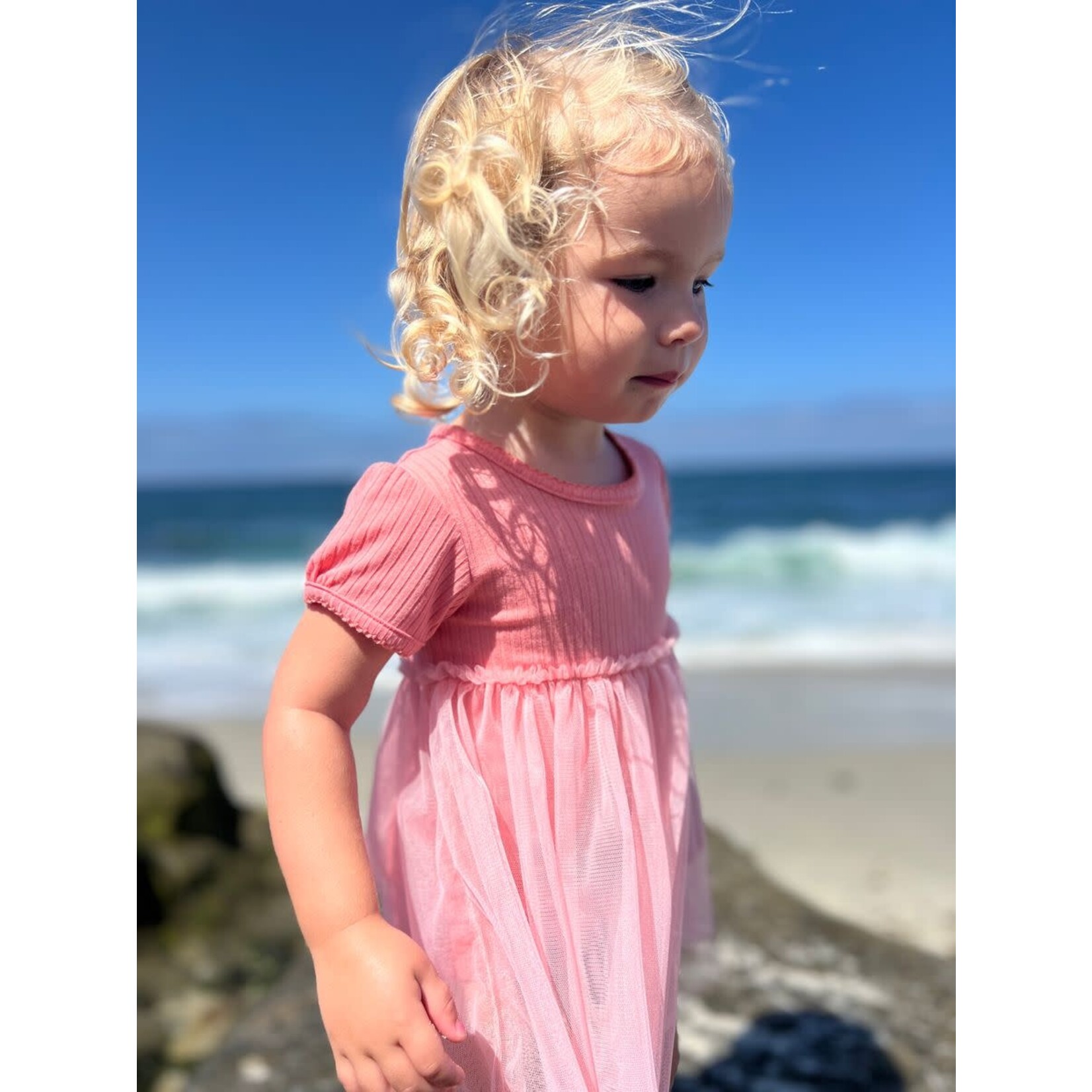 Vignette Vignette - Penelope Dress