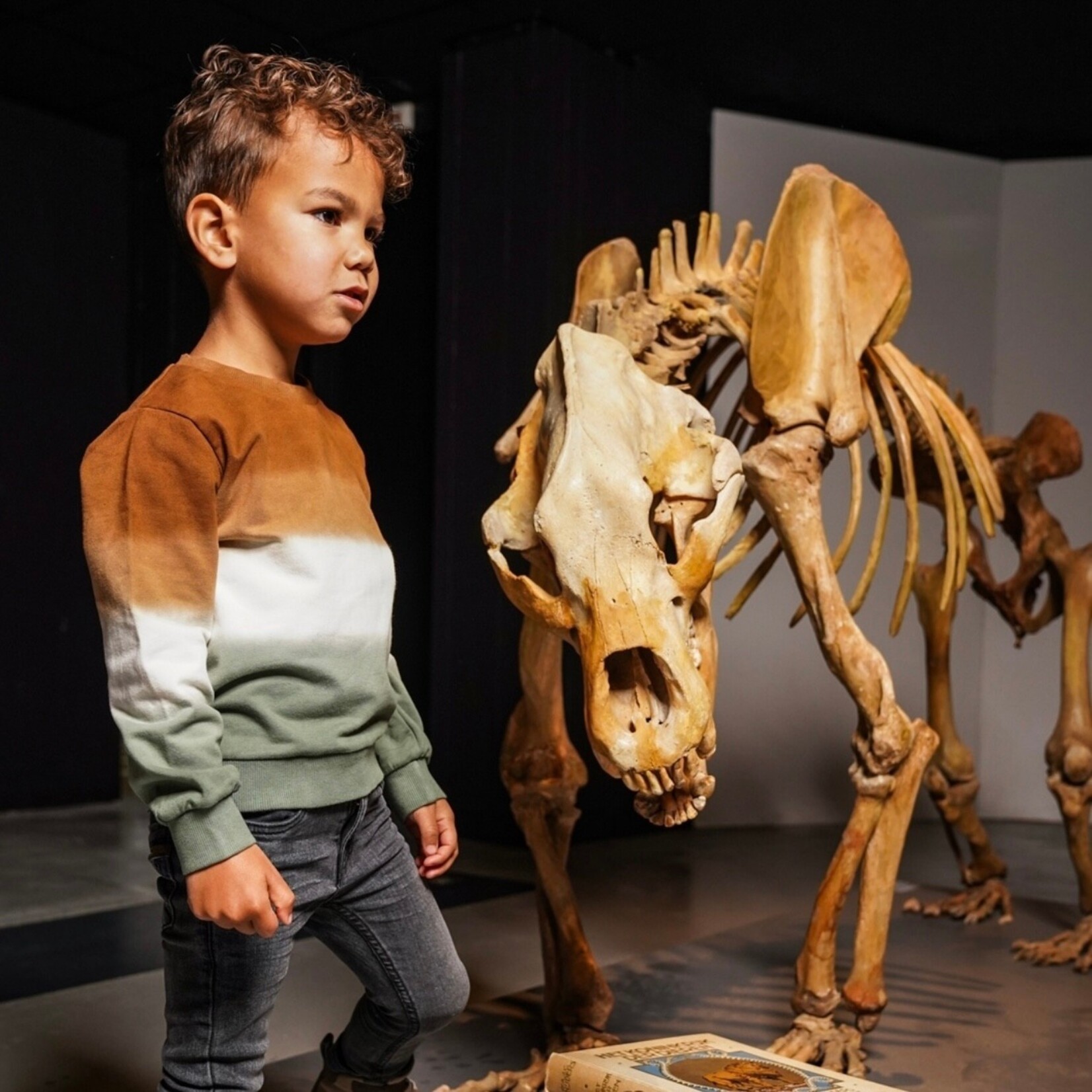 Koko Noko Koko Noko - Crewneck Sweatshirt