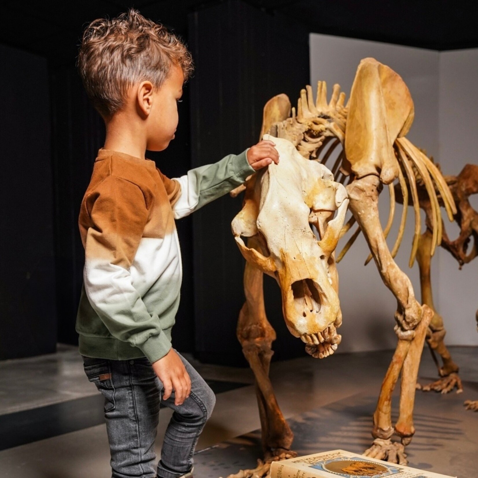 Koko Noko Koko Noko - Crewneck Sweatshirt