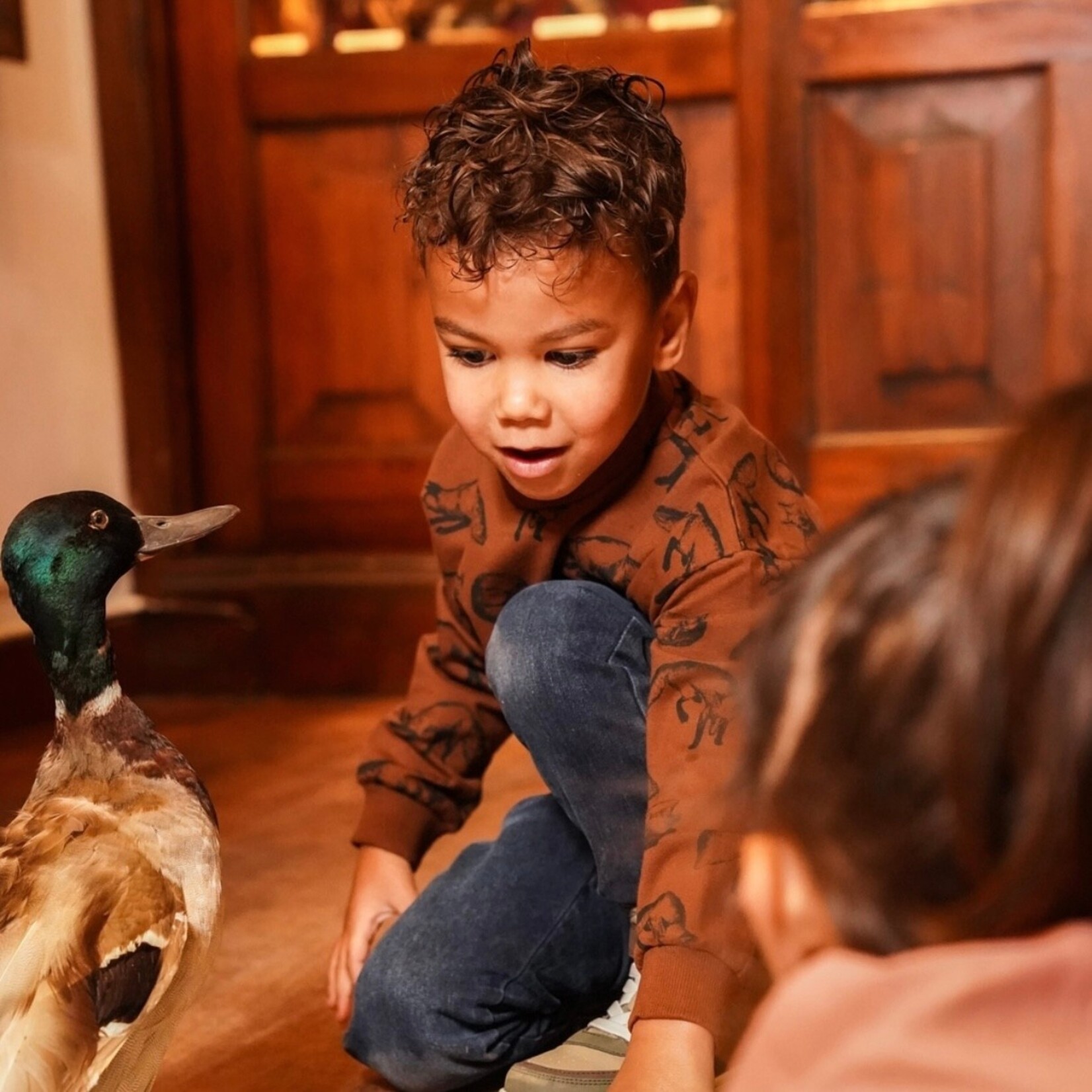 Koko Noko Koko Noko - Fox Sweatshirt