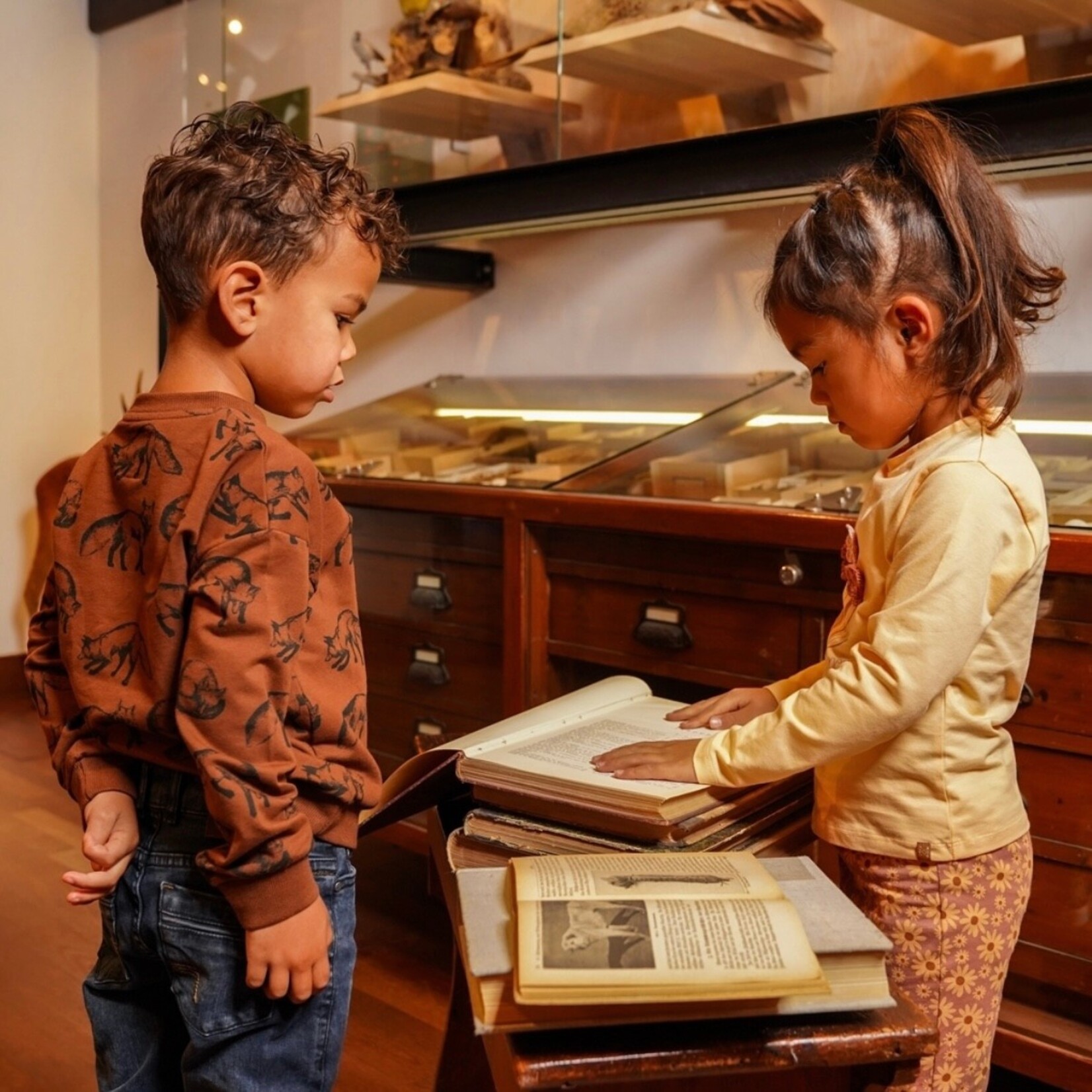 Koko Noko Koko Noko - Fox Sweatshirt