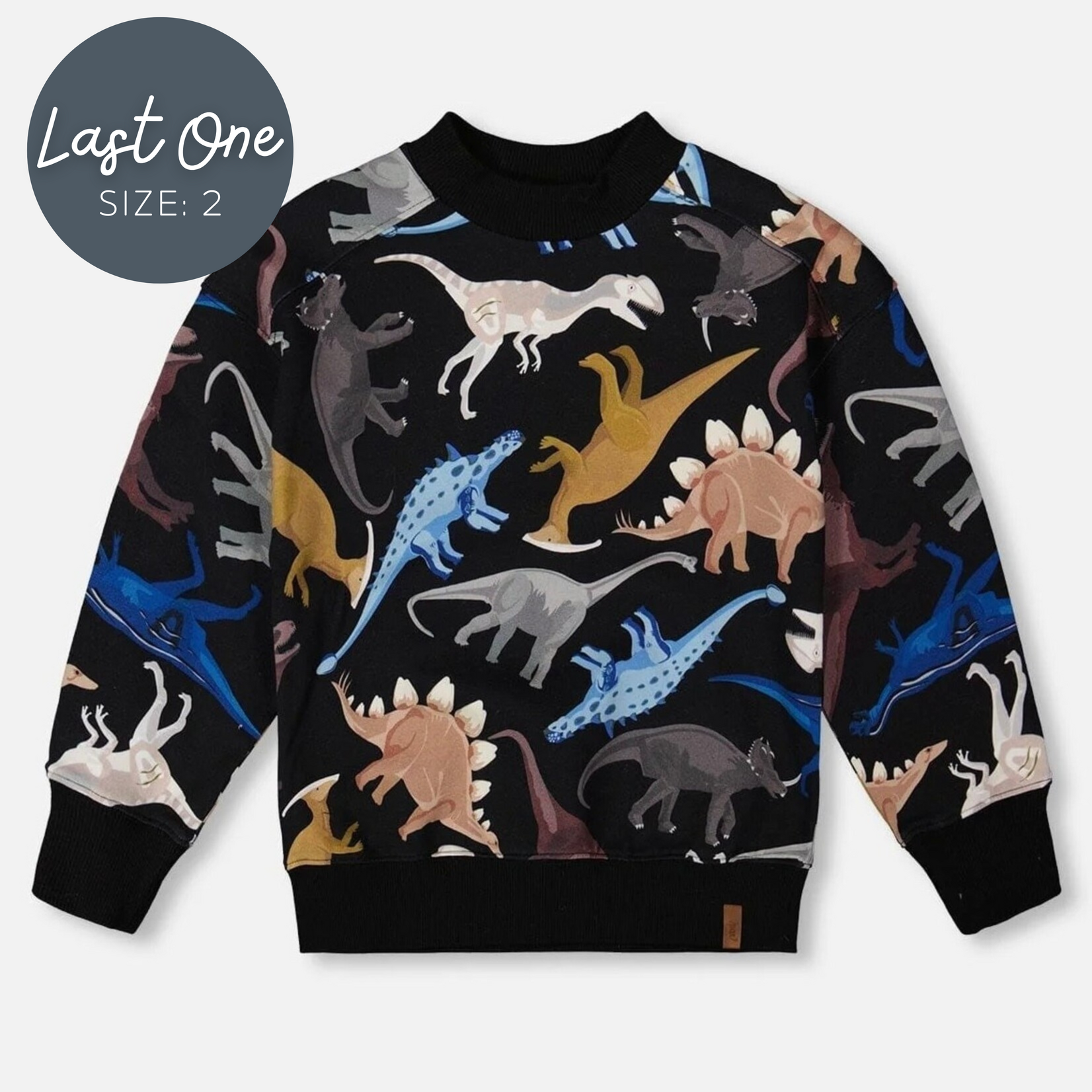 Deux Par Deux Deux Par Deux  - Printed Fleece Dino Sweatshirt