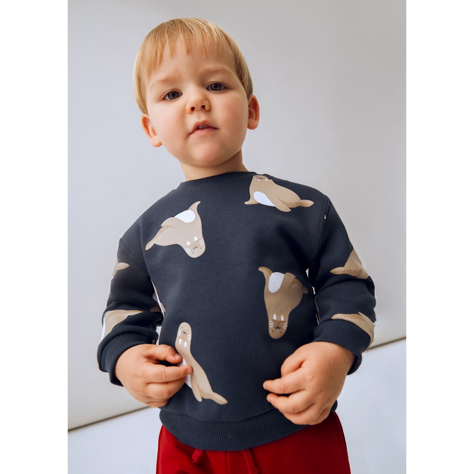 Mayoral Mayoral - Walrus Print Sweatshirt (2417)
