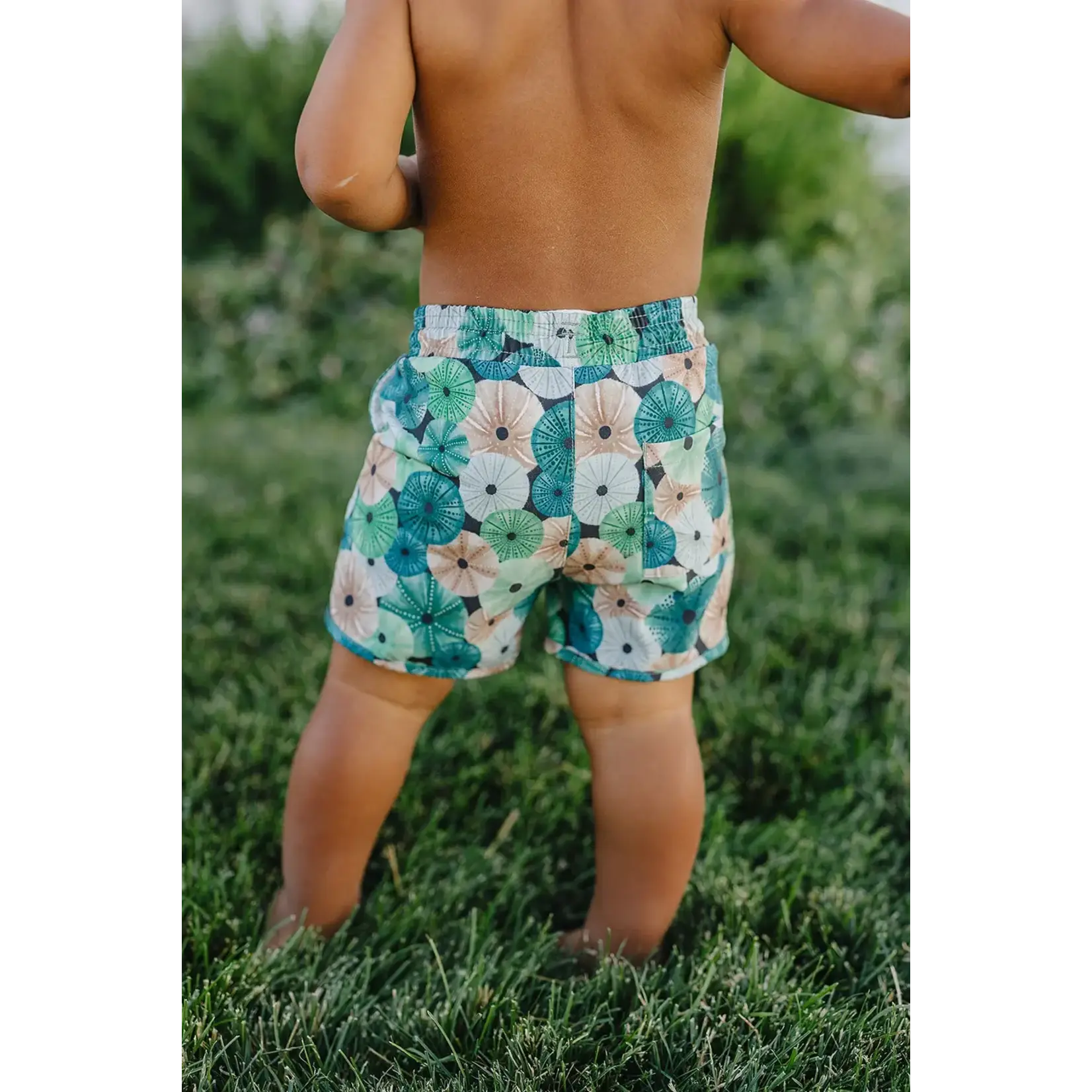 Current Tyed Current Tyed - Enzo Trunks