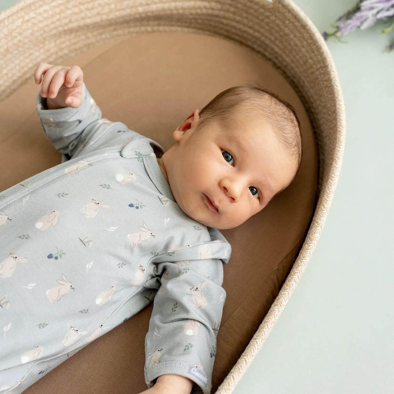 Coccoli Coccoli - Modal Zipper Footie | Rabbits On Mercury