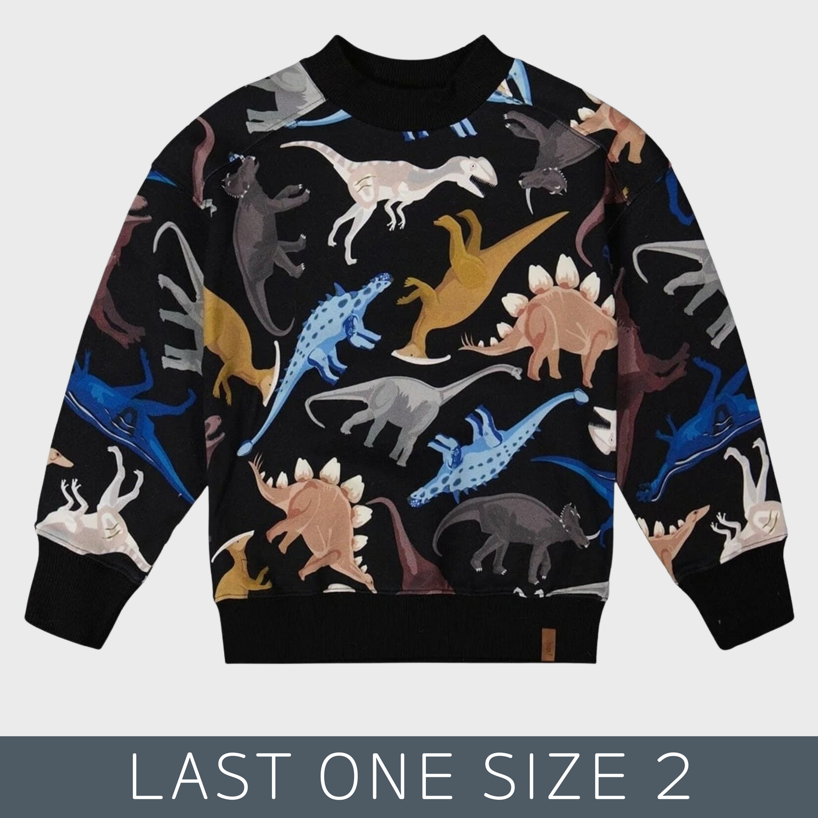 Deux Par Deux Deux Par Deux  - Printed Fleece Dino Sweatshirt