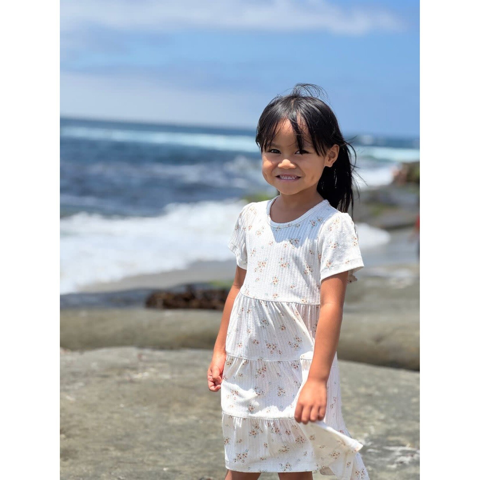 Vignette Vignette - Iona Dress