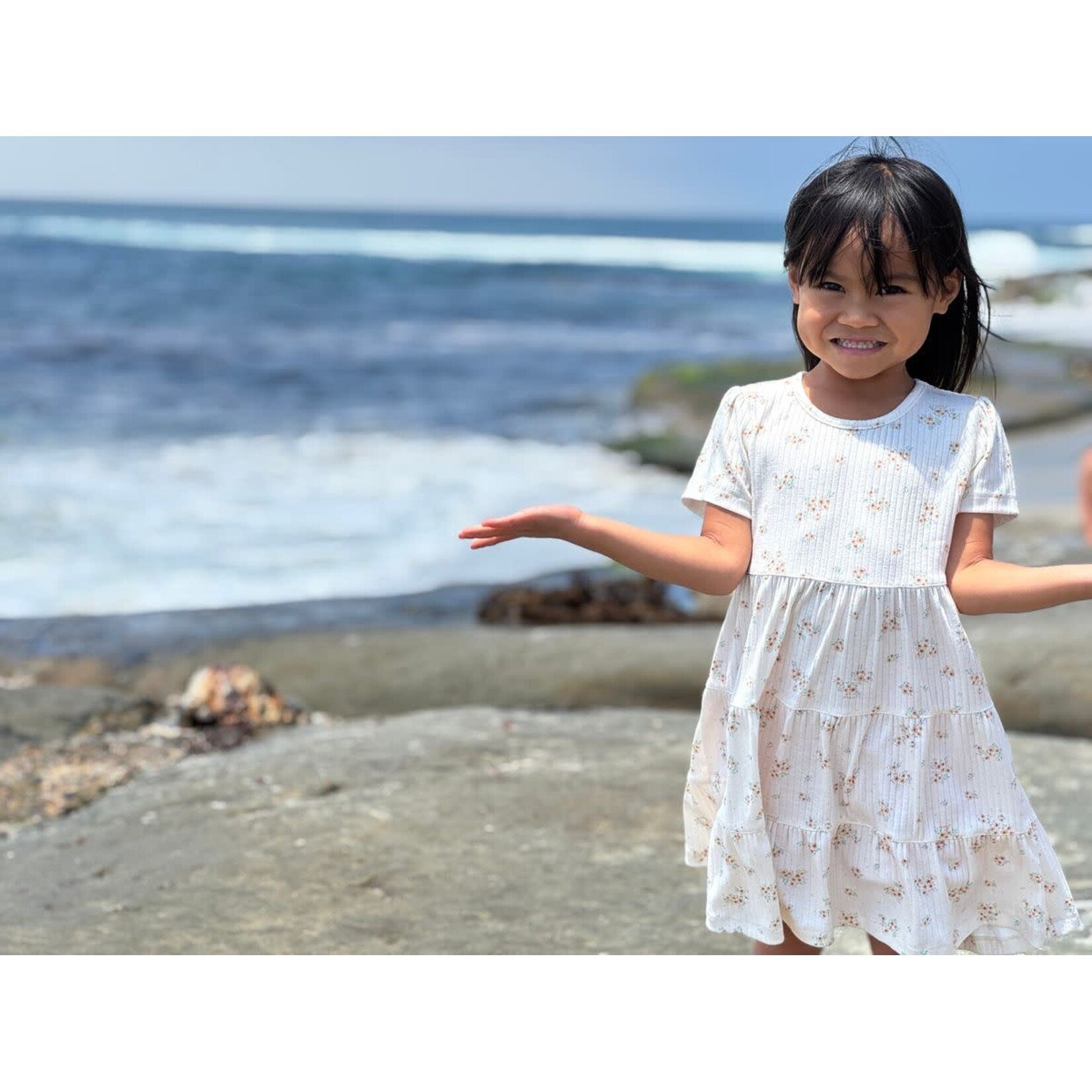 Vignette Vignette - Iona Dress