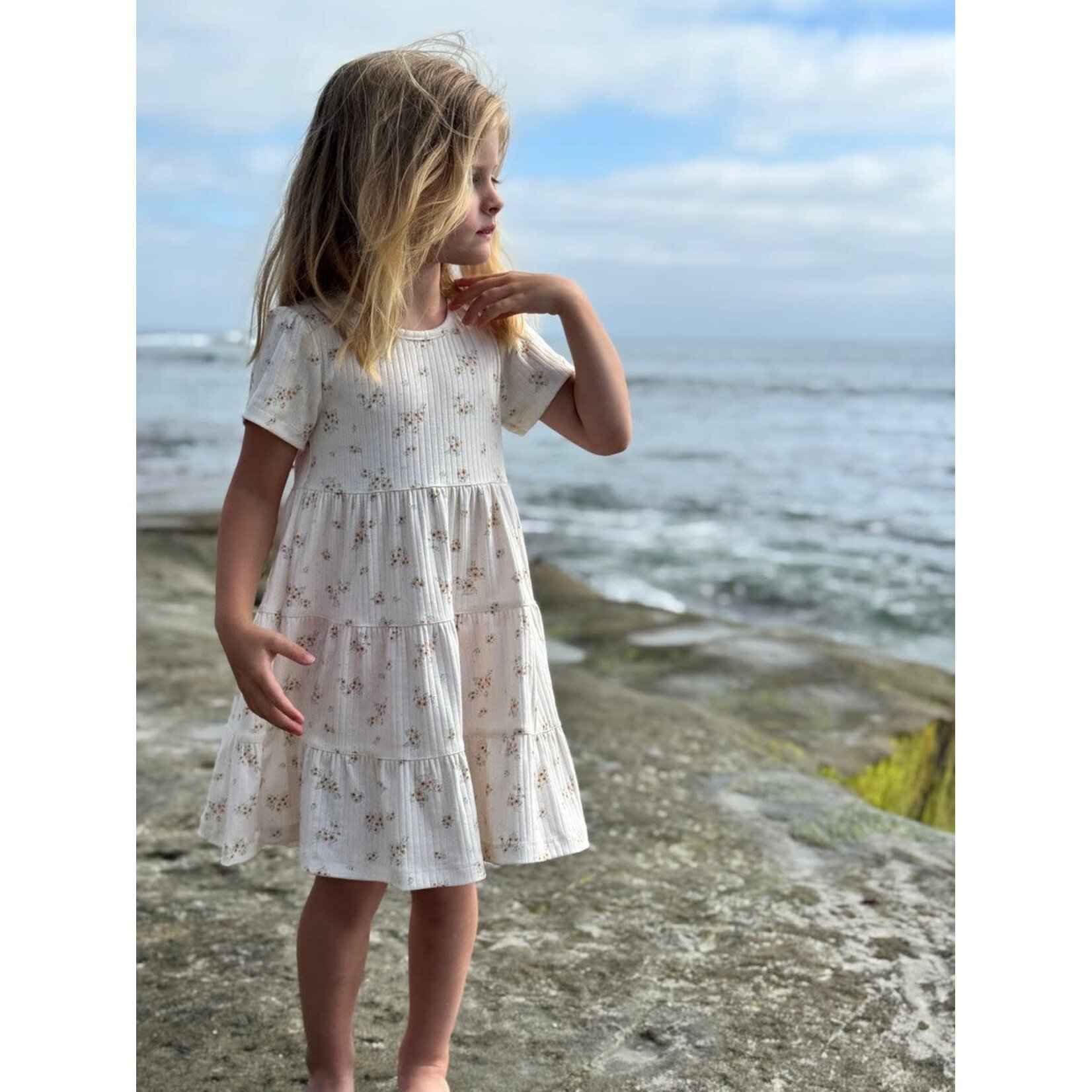 Vignette Vignette - Iona Dress